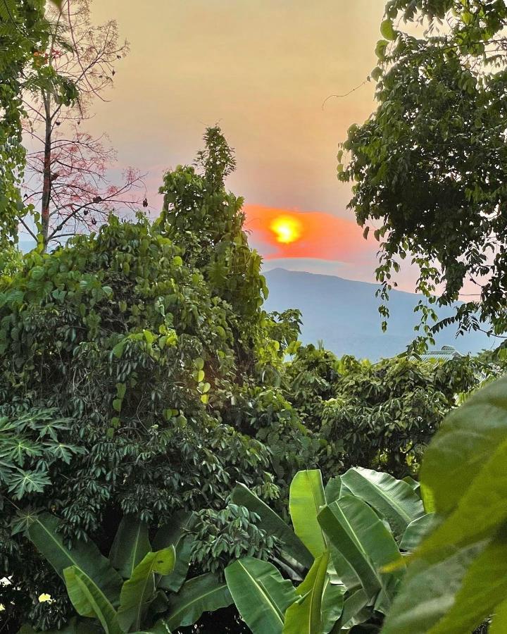 Babinda Quarters Hotell Eksteriør bilde