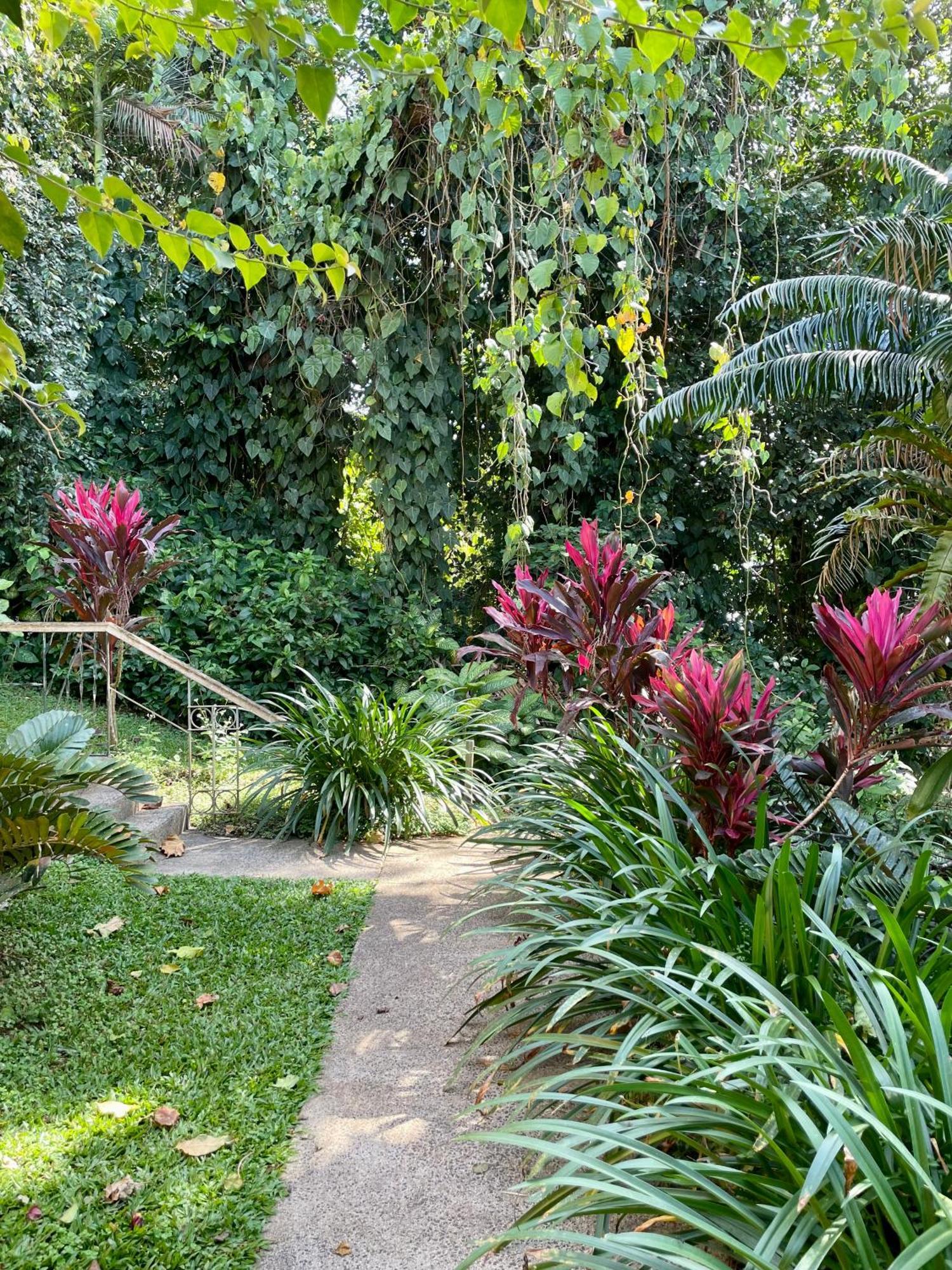 Babinda Quarters Hotell Eksteriør bilde
