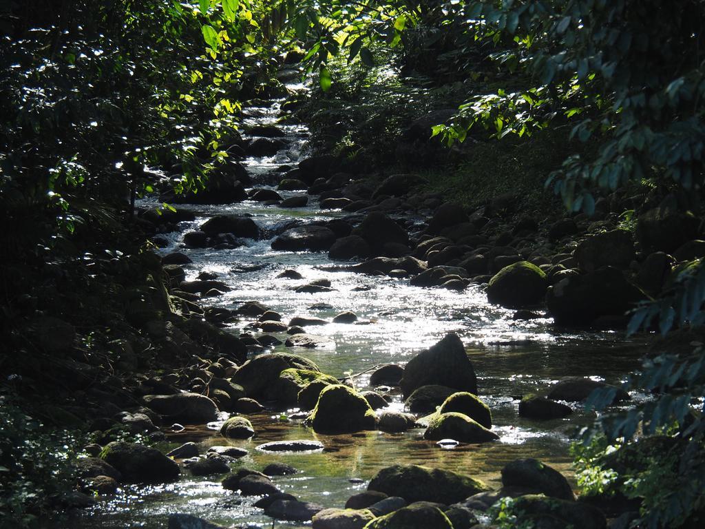 Babinda Quarters Hotell Eksteriør bilde